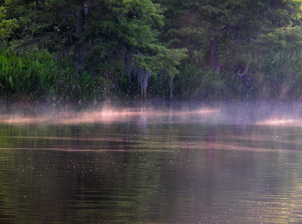 Mist rising off the river at dawn