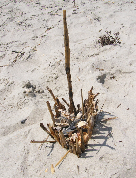 beach fort for shells