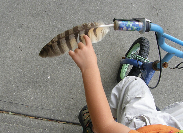 Osprey feather on bicycle