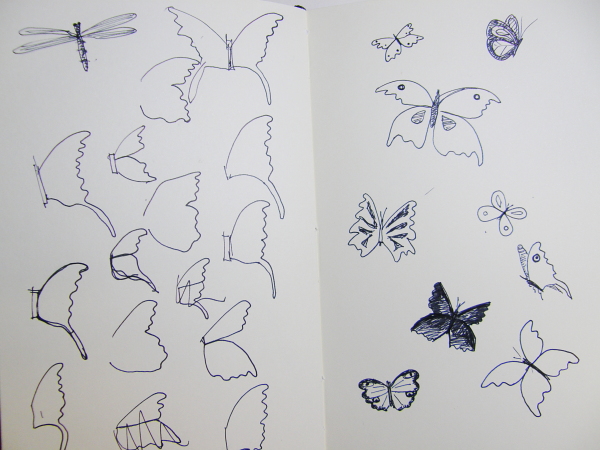 Study of butterfly wings