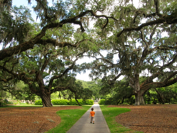 Brookgreen Gardens, Myrtle Beach/Murrells Inlet/Pawleys Island, SC