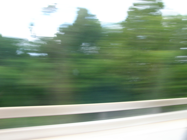 Blurry photo of trees and roadside, taken while driving.