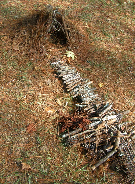 Fort made of pine needles, pine cones, and sticks.