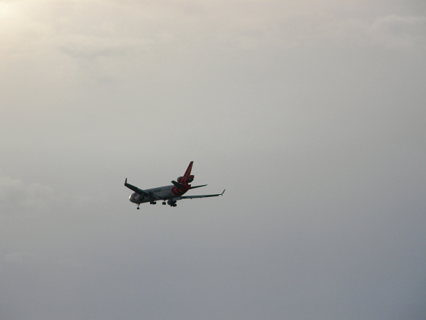 Martinair airplane landing in Miami, FL