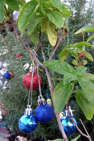 Christmas ornaments in the herb garden