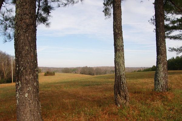 Countryside in Alabama