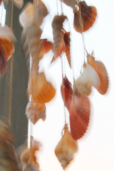 Blurry photo of shells on strings