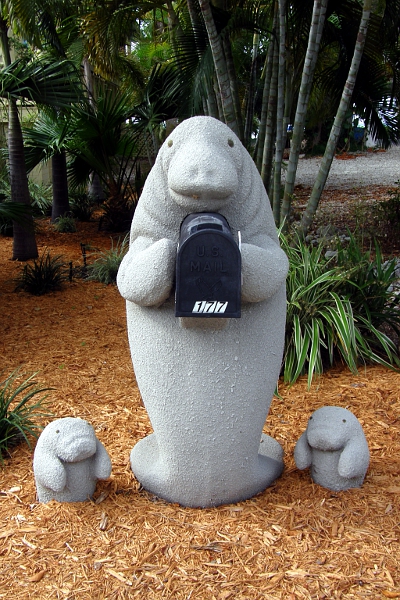 Manatee and two babies holding a mailbox