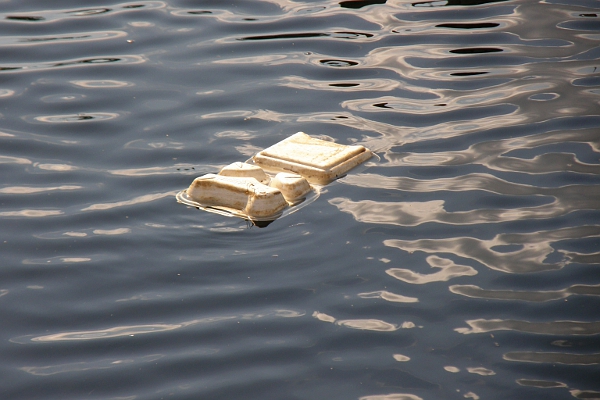 Takeout box floating in the Miami River