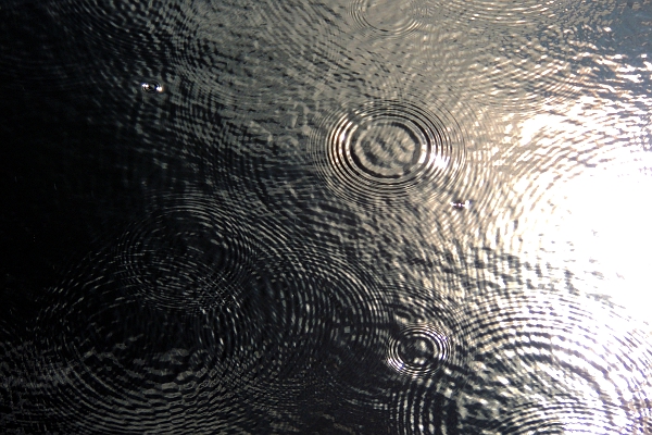 Ripple patterns from raindrops on the water