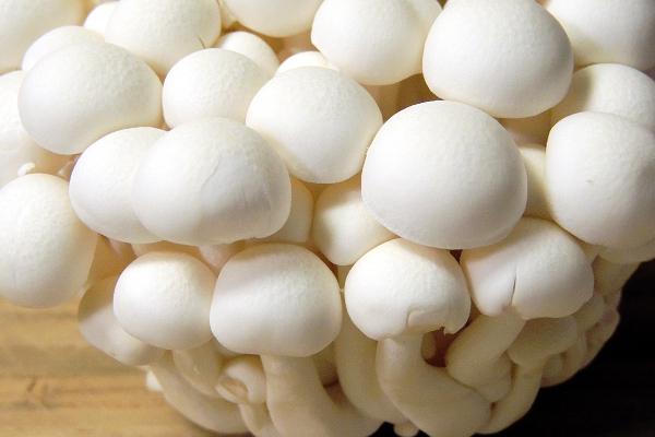 Bunapi mushrooms closeup