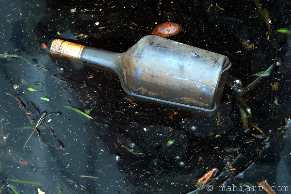 Empty liquor bottle floating in dirty Miami River water.