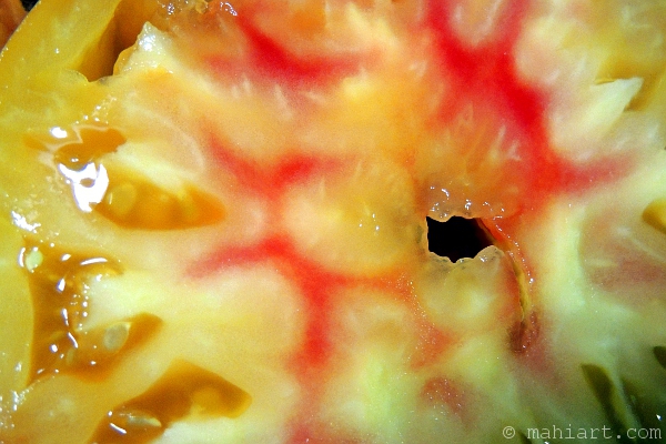 Closeup of colorful tomato slice