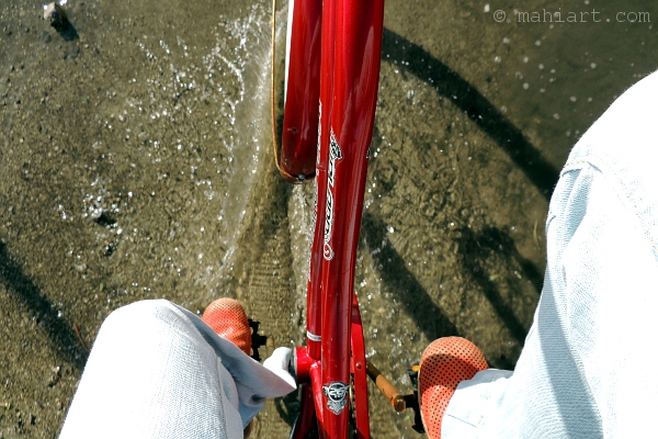 Closeup of photographer's legs and bicycle while riding through a puddle.