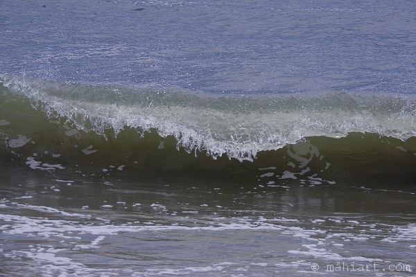 wave on the atlantic ocean at huntington beach state park in south carolina