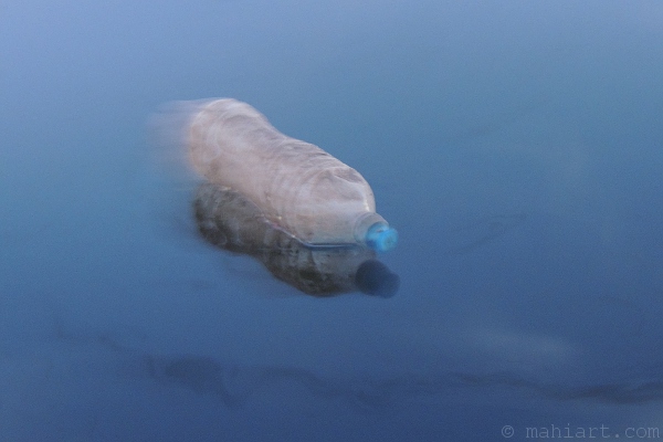 Blurry picture of a water bottle floating in the Miami River
