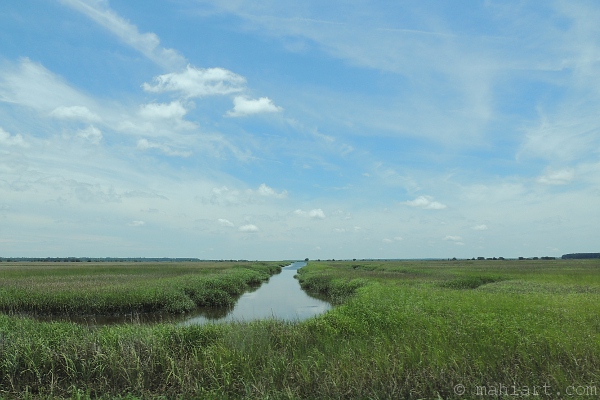 Wetlands in South Carolina
