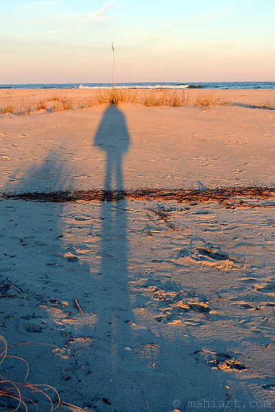 Bizarre somewhat surrealist shadow of person wearing winter shawl on the beach with seagrass plume coming out of top of shadow's head