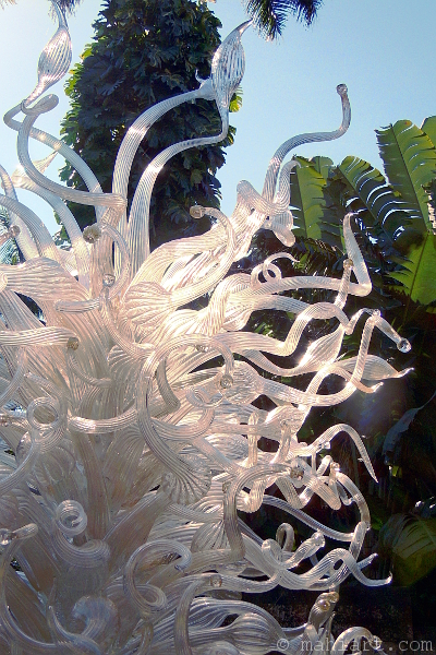 Large white Dale Chihuly sculpture at Fairchild Tropical Botanic Garden