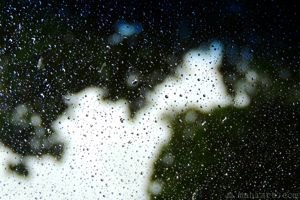 Treetop seen through raindrop covered windshield