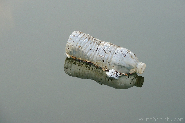 Empty water bottle floating in Miami River