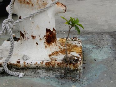 Today’s Inlet: Tenacity.