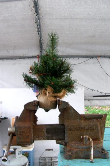 Today’s inlet: Chistmas vise.