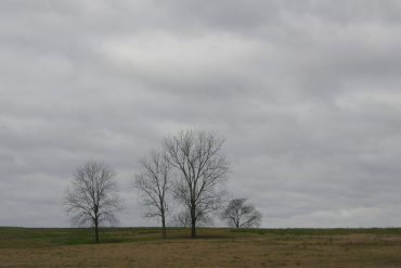 Today’s inlet: Winter in Alabama 2.