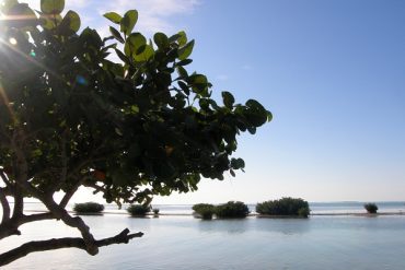 Today’s inlet: Bayside.