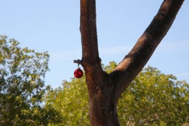 Today’s inlet: Straggler.