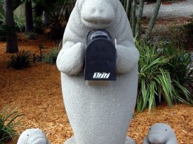 Today’s inlet: Manatee mailbox.