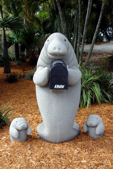 Today’s inlet: Manatee mailbox.