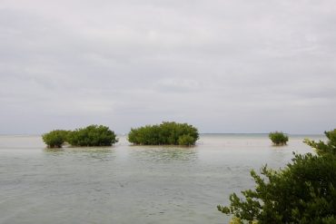 Today’s inlet: Bayside 2.