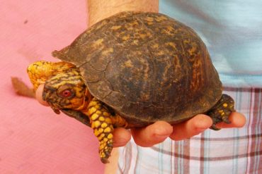 Today’s inlet: Vern.