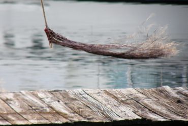 Today’s inlet: Fray.