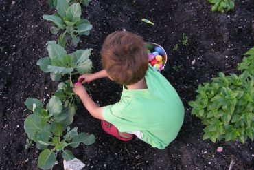 Today’s inlet: Easter Egg Hunt.