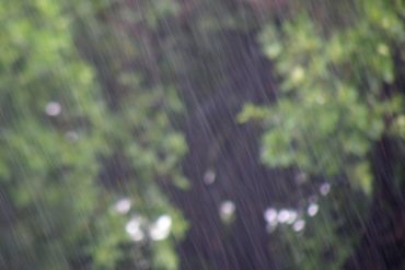 Today’s inlet: Rain.