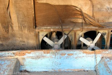 Today’s inlet: Warehouse cat.