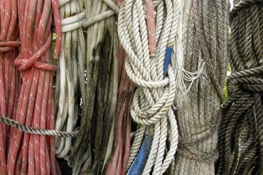 Today’s inlet: Dock lines 2.