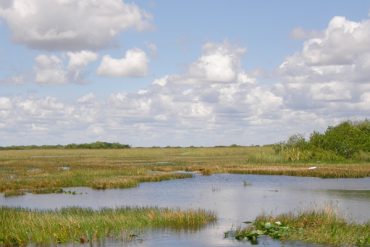 Today’s inlet: Everglades.