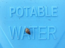 Today’s inlet: Potable water.