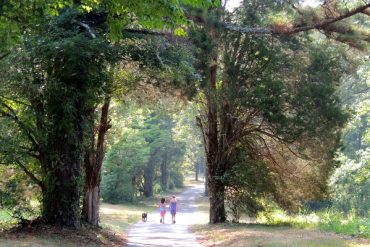 Today’s inlet: Morning walk.