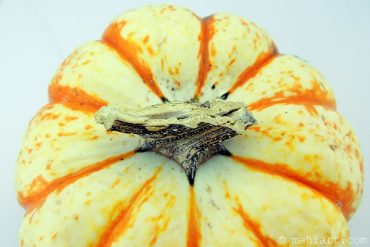 Today’s inlet: Pumpkin.