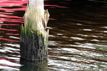 Today’s inlet: Piling 2.