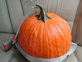 Today’s inlet: Pumpkin safety.
