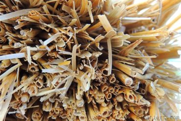 Today’s inlet: Hay.