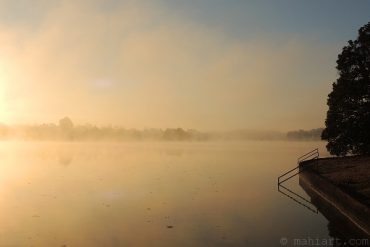 Today’s inlet: Sunrise over the creek.