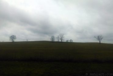 Winter in Alabama 3.