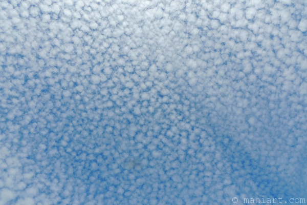 Sheep clouds.