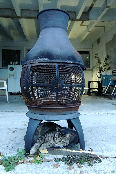 Henry and his fireplace.